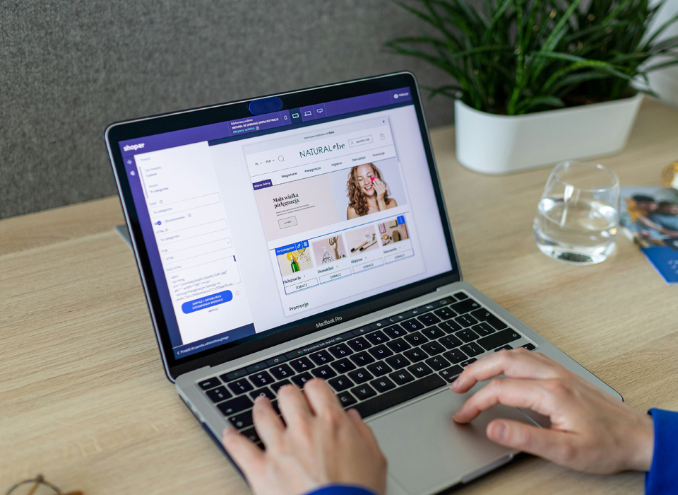 Ecommerce development