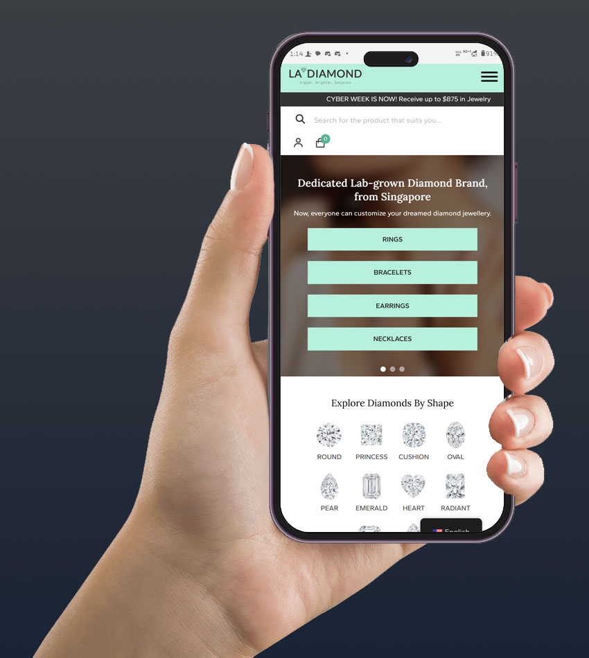 Ecommerce Website Development